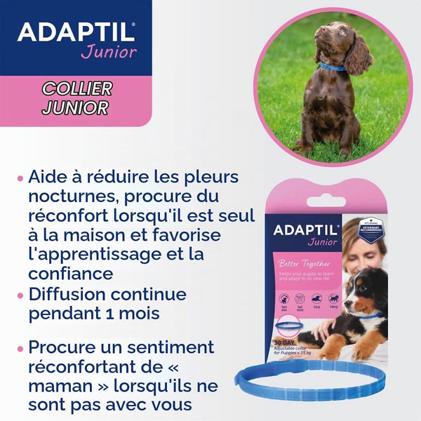 Adaptil collier calmant pour chien junior