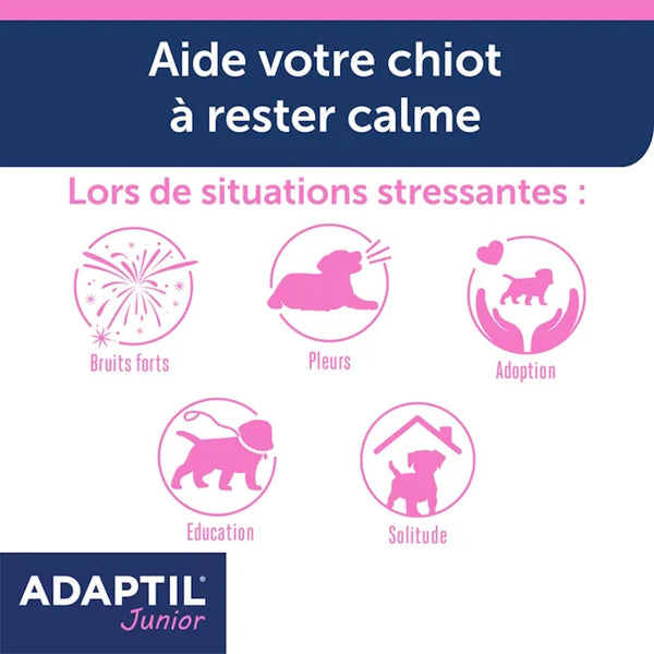 Adaptil collier calmant pour chien junior