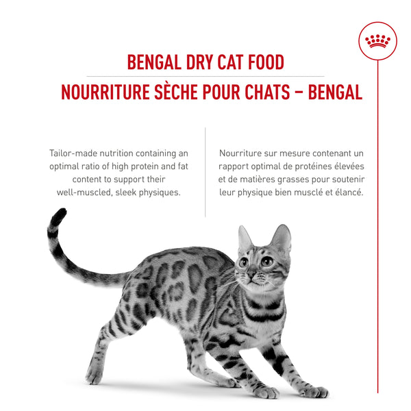 BENGAL Adulte – nourriture sèche pour chats, 3.2 kg, (7 lb)