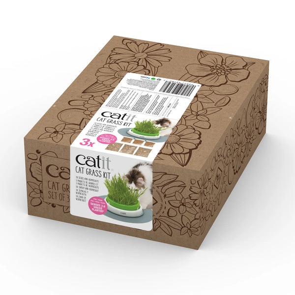 Ensemble de semences pour Jardinère d'herbe Catit Senses 2.0
