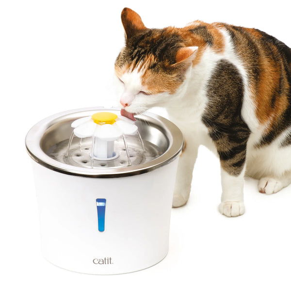 Abreuvoir pour chat avec fleur et dessus en acier inoxydable, 3 l - Animatout