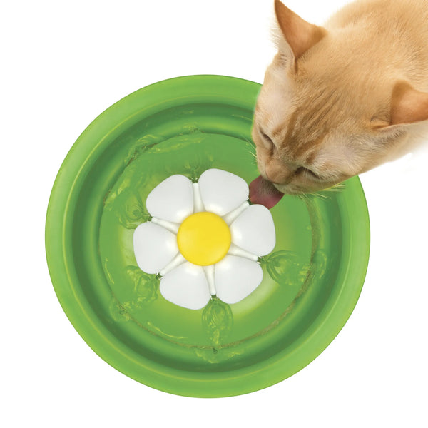 Abreuvoir pour chat avec fleur, 3 l - Animatout
