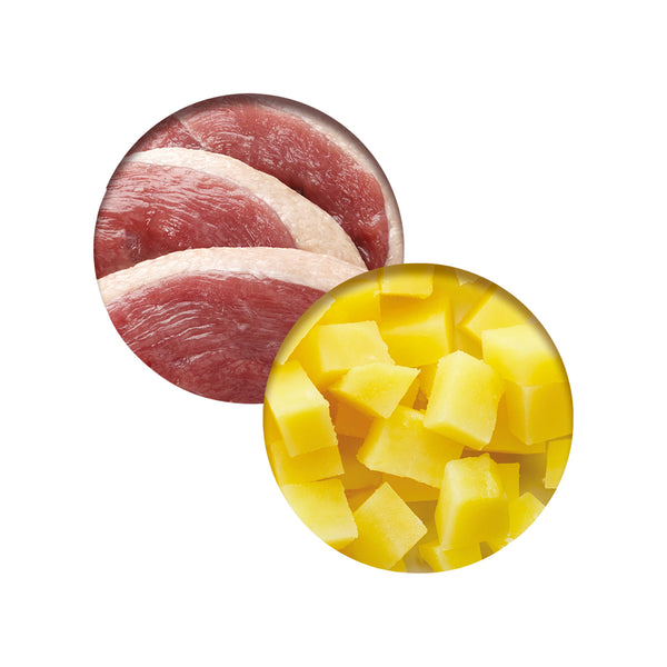 Repas de poulet pour chat avec canard et pommes de terre, 80 g - Animatout