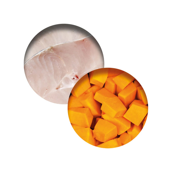 Repas de poisson pour chat avec poisson blanc et citrouille, 80 g - Animatout