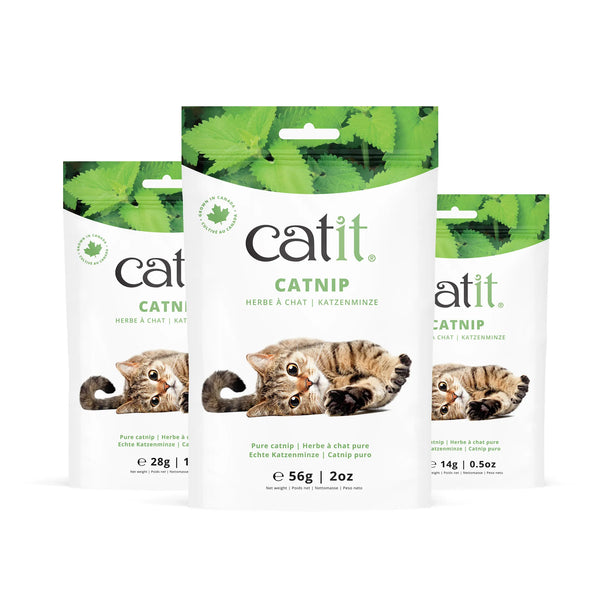 Herbe à chat séchée Catit, sac de 28 g (1 oz)