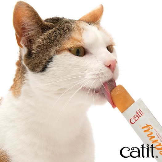 Gâteries crémeuses pour chat creamy à lécher, saumon - Animatout