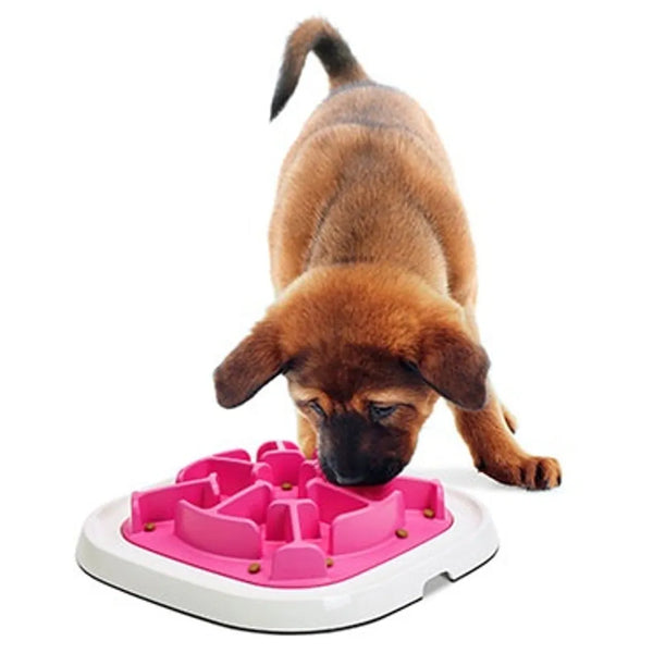 Bol ralentisseur pour chien et chat Pet Enigma medium #10