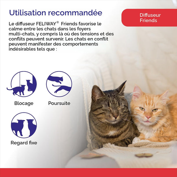 Feliway Friends Ensemble diffuseur+recharge 30 jours 48ml
