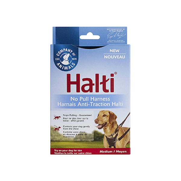 Harnais Halti anti-traction pour chien