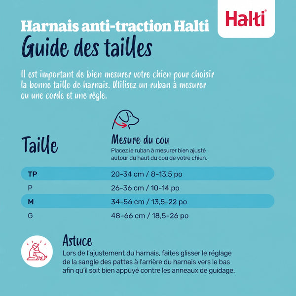 Harnais Halti anti-traction pour chien