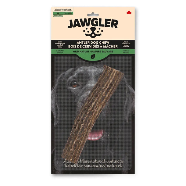 Bois de cervidés à mâcher pour chiens, entier - nature sauvage