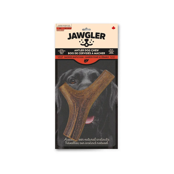 Bois de cervidés à mâcher pour chiens, entier - jambon fumé à l'érable