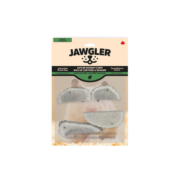 Bois de cervidés pour petits animaux