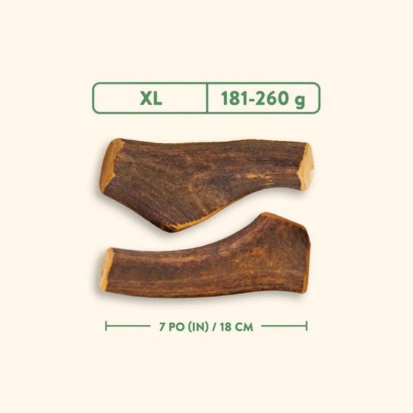 Bois de cervidés à mâcher pour chiens, entier - jambon fumé à l'érable