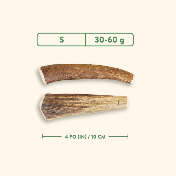 Bois de cervidés à mâcher pour chiens, entier - nature sauvage