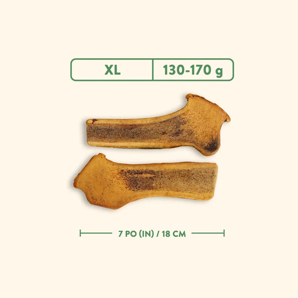 Bois de cervidés à mâcher pour chiens, coupé - jambon fumé à l'érable