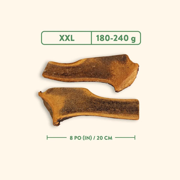 Bois de cervidés à mâcher pour chiens, coupé - jambon fumé à l'érable