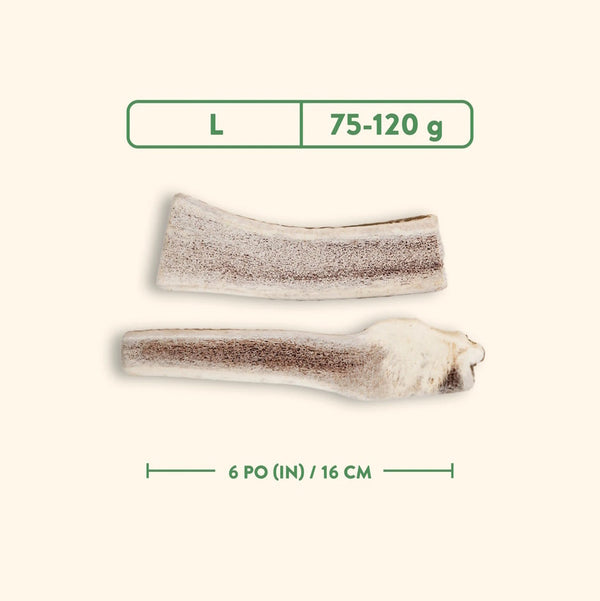 Bois de cervidés à mâcher pour chiens, coupé - nature sauvage