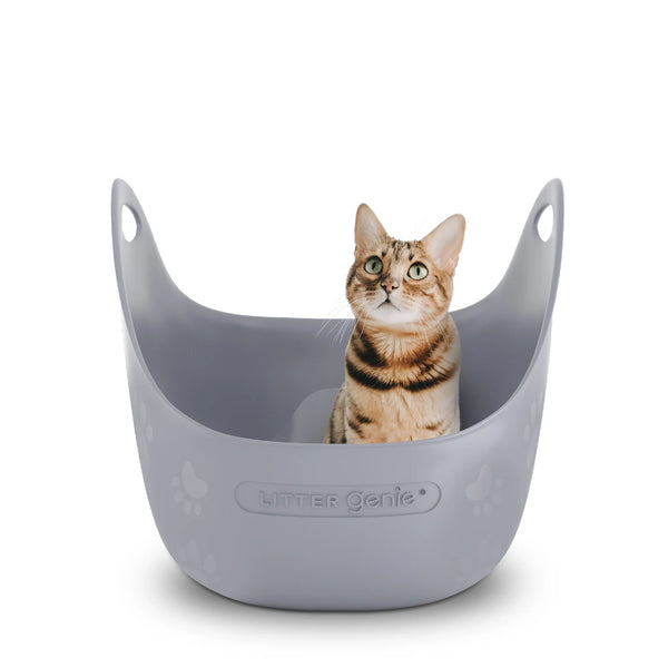 Bac à litière pour chat avec pelle grise
