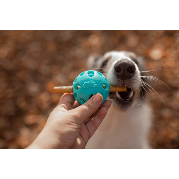 Jouet "Totally Pooched, huff'n puff ball" jouet en caoutchouc pour chien - balle 3.1"