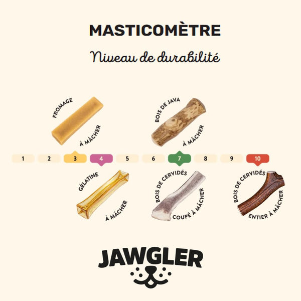 Gâterie de fromage à mâcher pour chiens - fraise