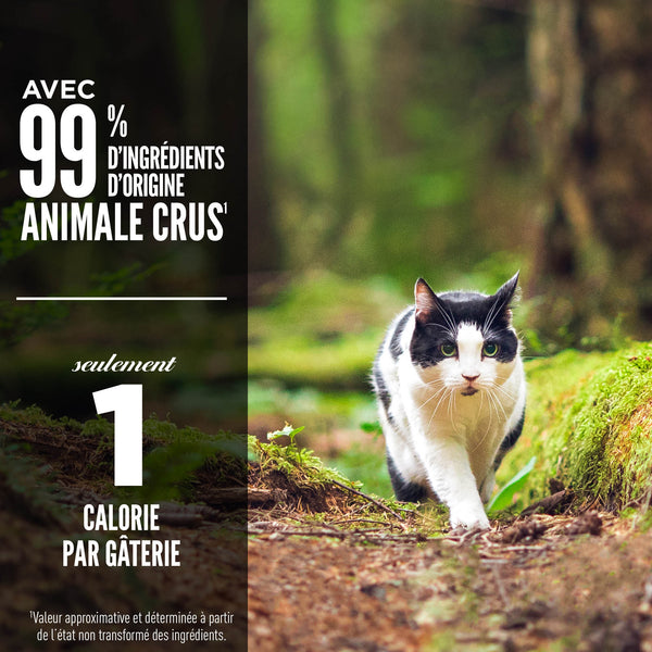 Gâteries lyophilisées pour chat Regional Red 35 g