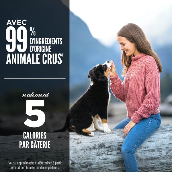 Gâteries lyophilisées pour chien Originale 92 g