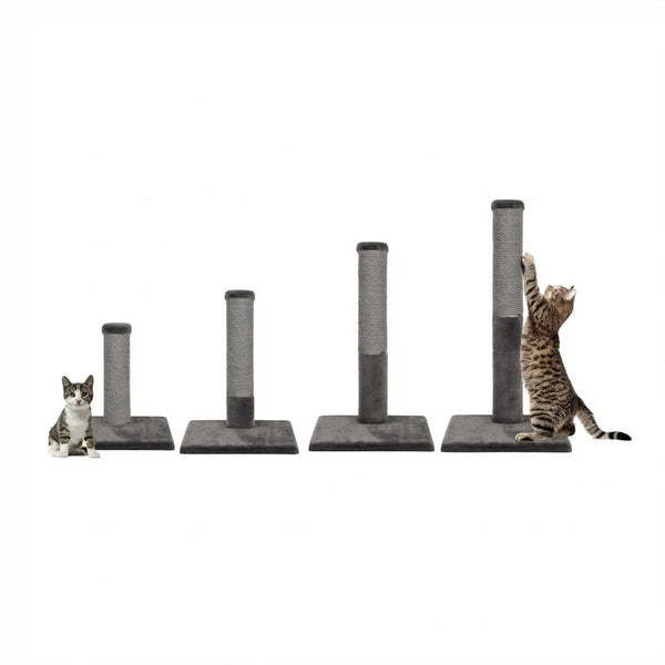 Griffoir pour chat Evolution 4 en 1 en corde de fique gris