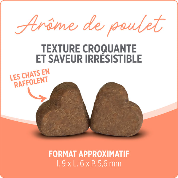 Suppléments Nutrience Care pour chats, Probiotique+, 180 g