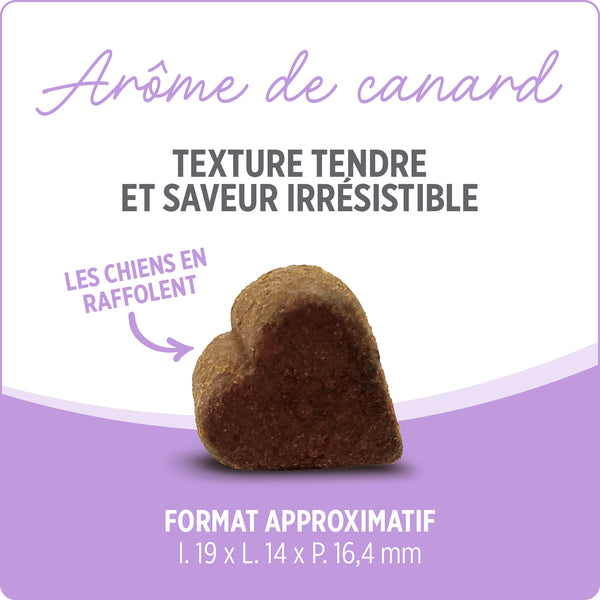 Suppléments Nutrience Care pour chiens, Hanches et articulations, 100 bouchées tendres, 400 g