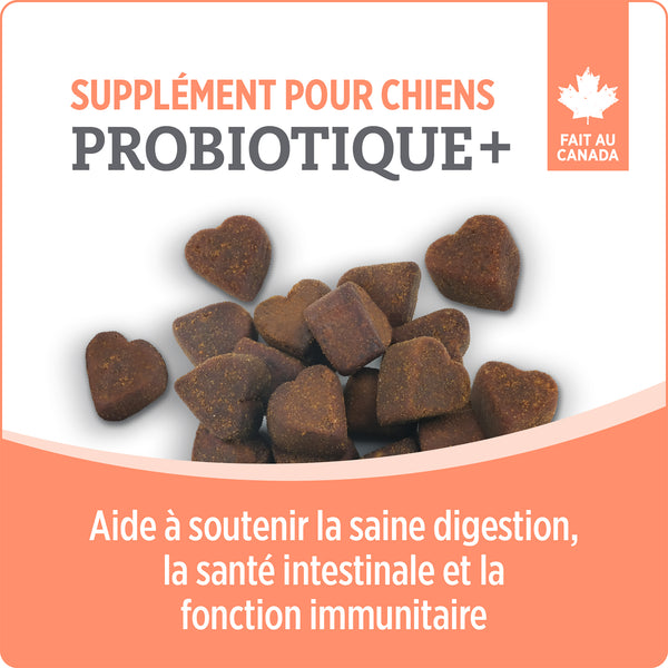 Suppléments Nutrience Care pour chiens, Probiotique+, 100 bouchées tendres, 400 g