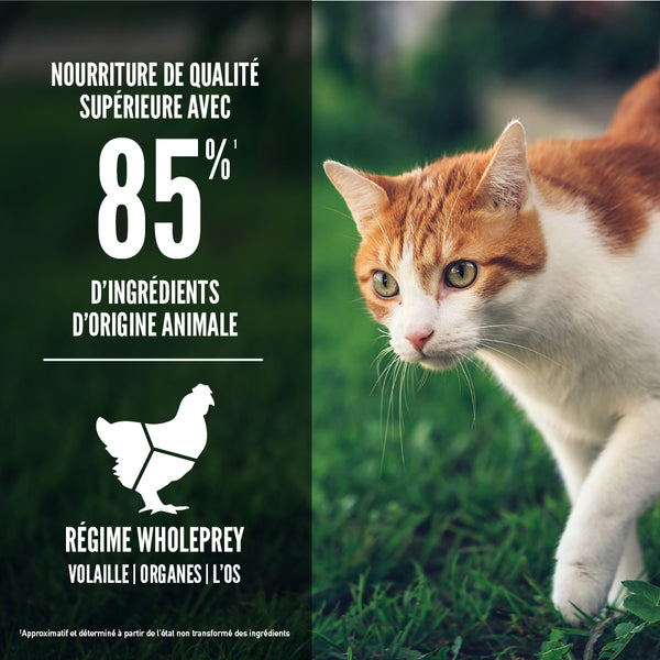 Nourriture pour chat Forme et santé 1,8 kg