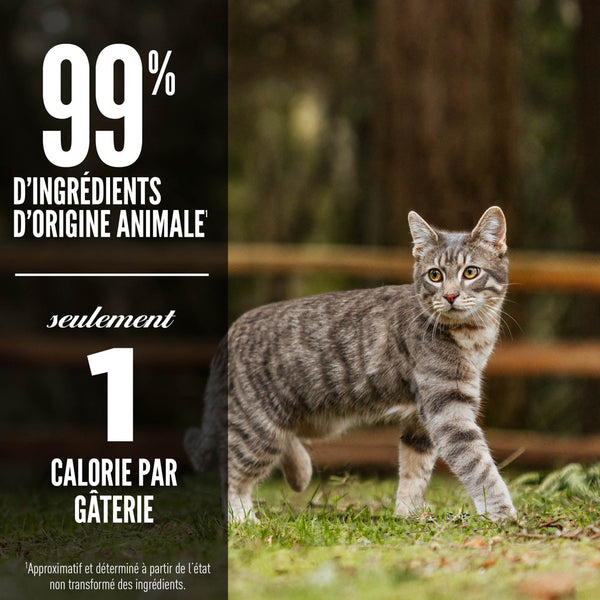Gâteries lyophilisées pour chat Six Fish 35 g