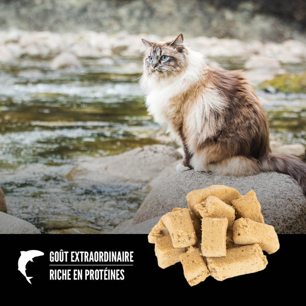 Gâteries lyophilisées pour chat Six Fish 35 g