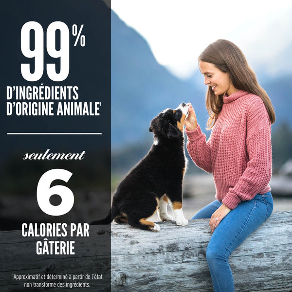 Gâteries lyophilisées pour chien au canard 92 g