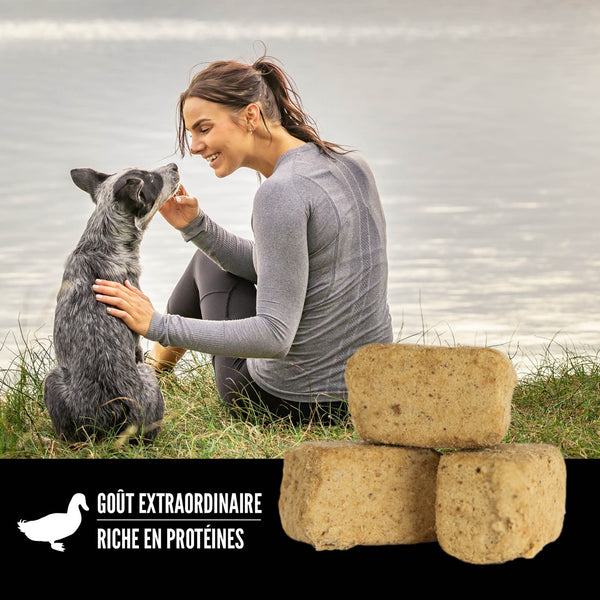 Gâteries lyophilisées pour chien au canard 92 g