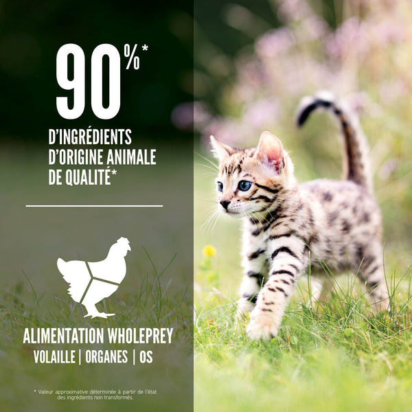 Nourriture pour chaton 1,8 kg