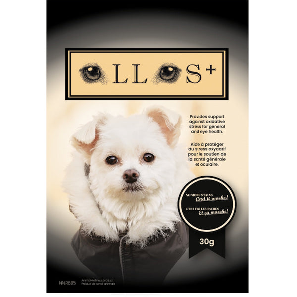 Ollos, solution naturelle pour les yeux tachés des chiens