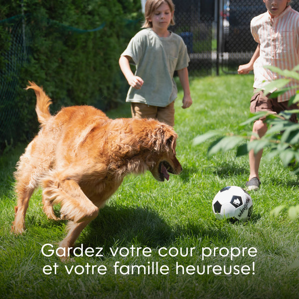 Poubelle à déchets pour chien