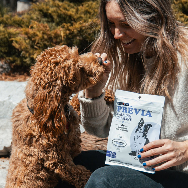 Gâteries pour chien, sans grains / PRÉVIA - calmant, recette au saumon 227g