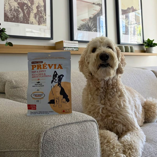 Gâteries pour chien, sans grains / PRÉVIA - hanches & articulations, recette à la truite 227g