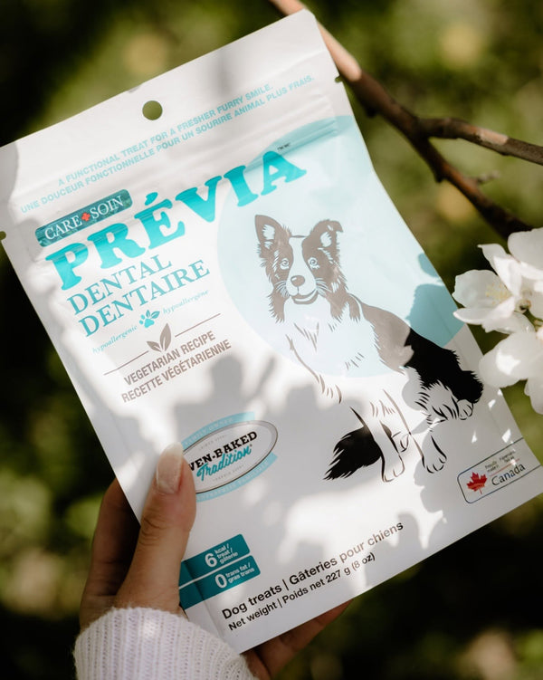 Gâteries pour chien, sans grains / PRÉVIA - dentaire, recette végétarienne 227g