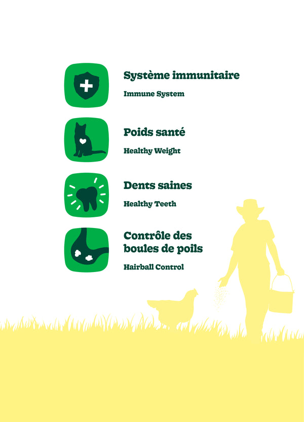 Nourriture pour chat adulte formule Original - poulet - Animatout