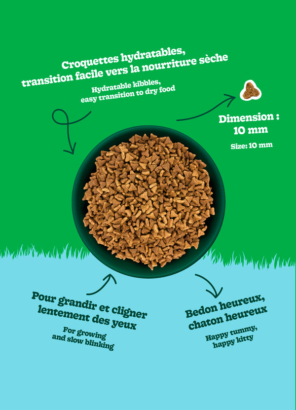 Nourriture pour chaton formule Original - poulet - Animatout