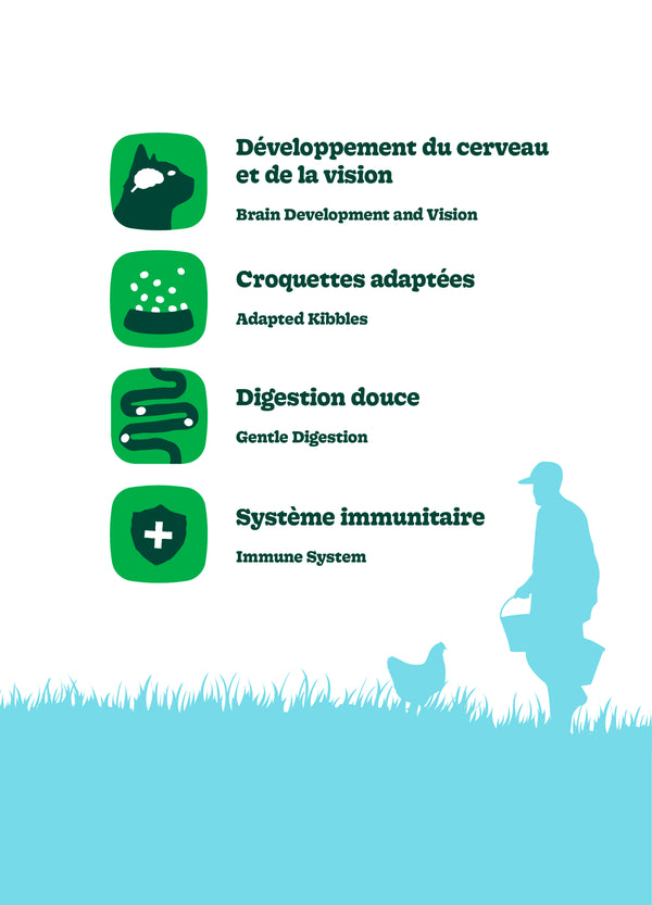 Nourriture pour chaton formule Original - poulet - Animatout