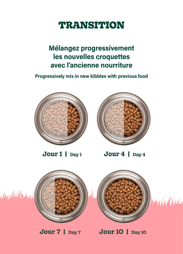 Nourriture pour chien adulte formule Original, toutes races - agneau avec pois et orge