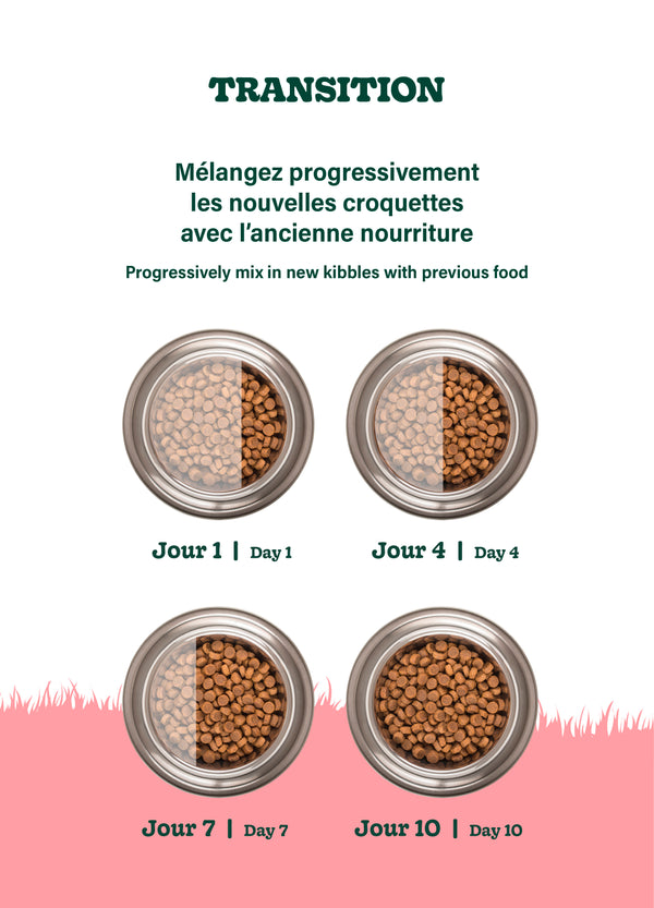 Nourriture pour chien adulte formule Original, toutes races - agneau avec pois et orge - Animatout