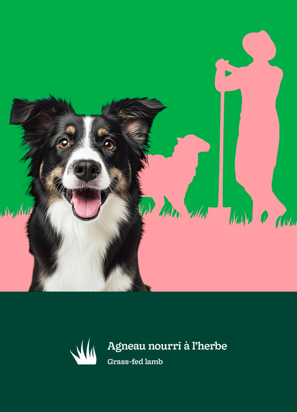 Nourriture pour chien adulte formule Original, toutes races - agneau avec pois et orge
