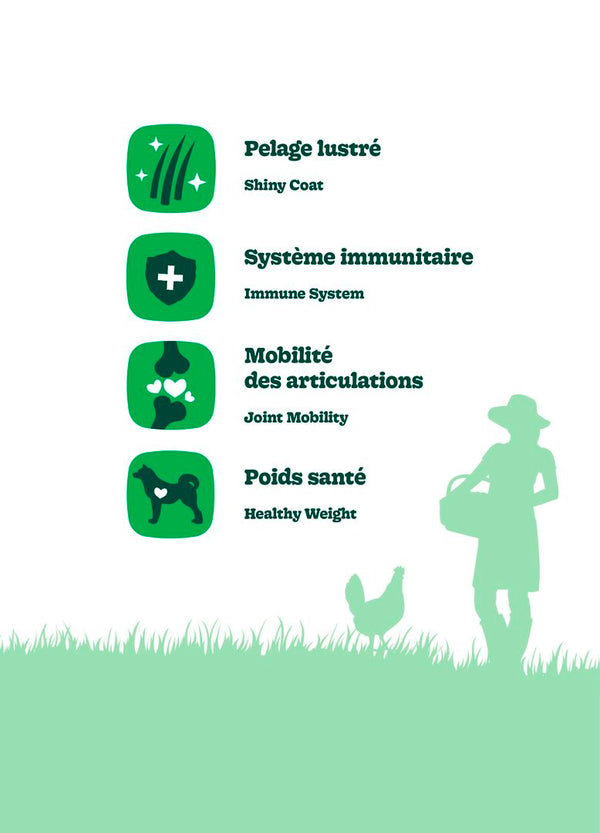 Nourriture pour chien sénior, formule Original, toutes races - poulet avec avoine