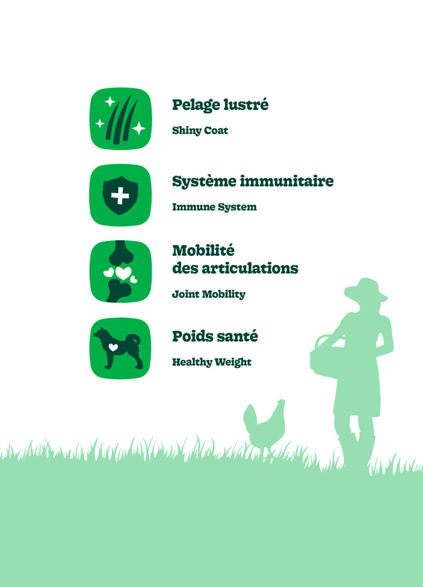 Nourriture pour chien sénior, formule Original, toutes races - poulet avec avoine